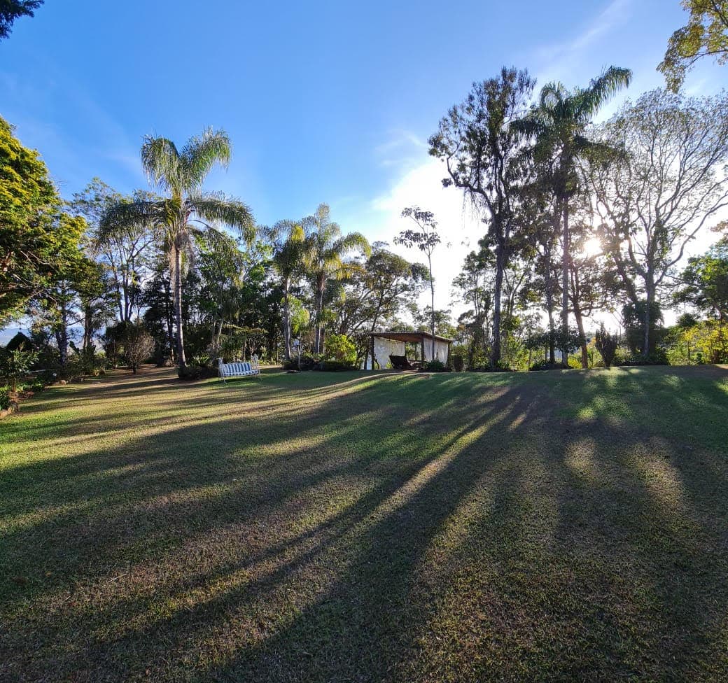 Gramado aberto com a mata ao fundo no fim da tarde