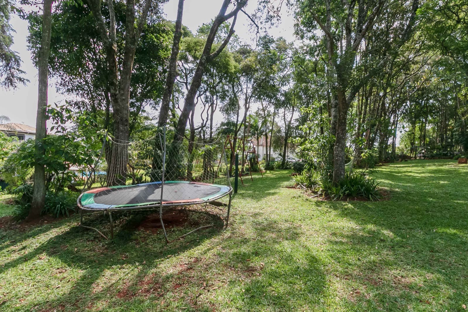 Cama elástica e balanços entre as árvores do sítio
