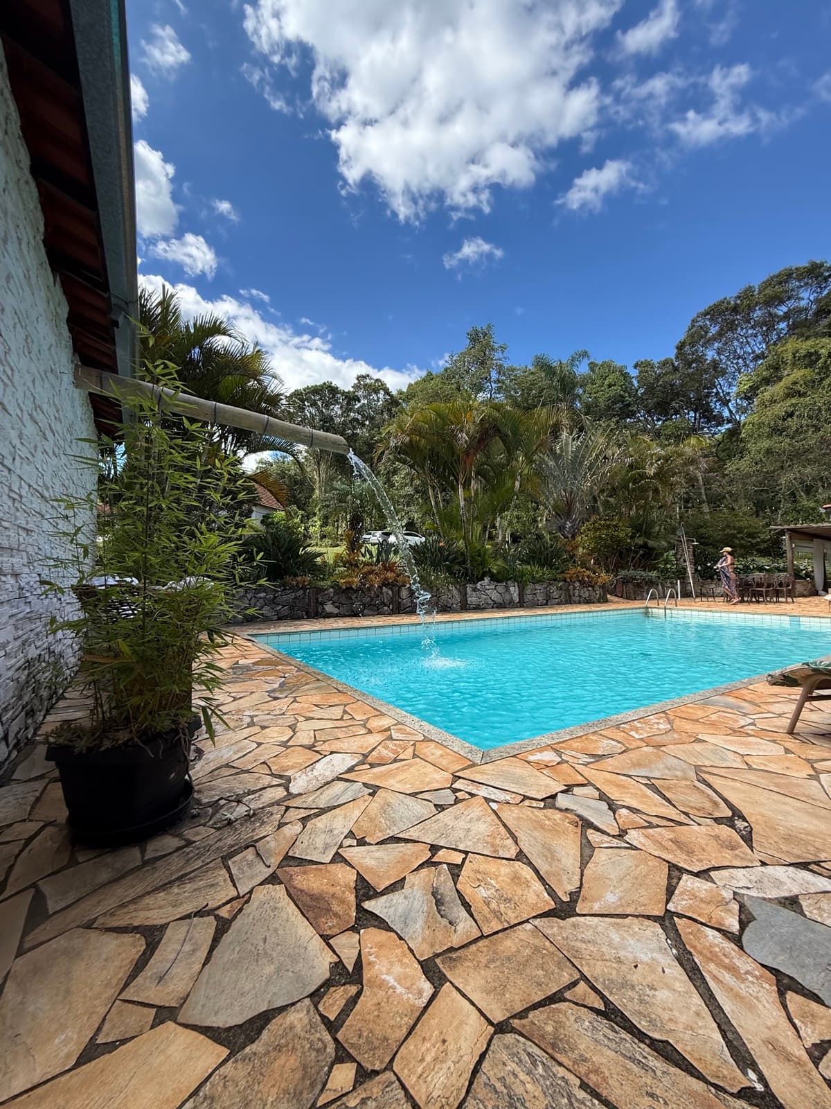 Deck de pedra ao redor da piscina, com a mata em volta